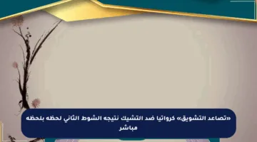 «تصاعد التشويق» كرواتيا ضد التشيك نتيجة الشوط الثاني لحظة بلحظة مباشر